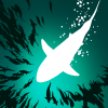 Shoal of fish APK