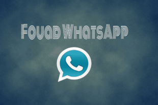 Fouad WhatsApp APK